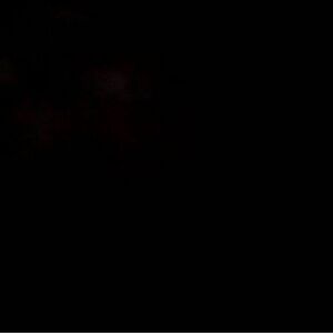 Meet your Posher, Ever